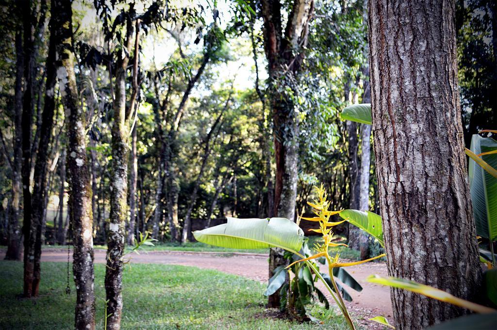 Cabanas Las Termas Oberá Exterior photo